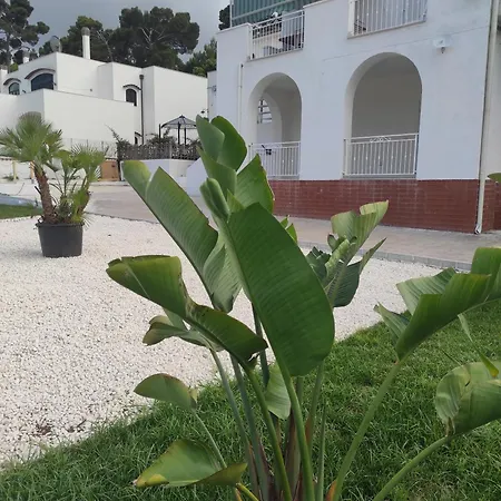 Deluxe Romantic San Menaio