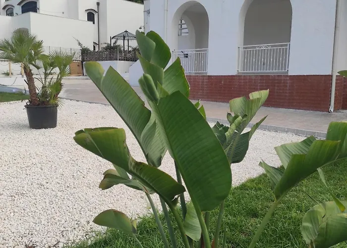 Deluxe Romantic San Menaio